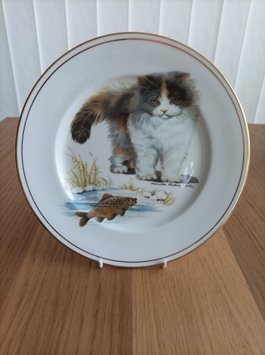Royal crown duchy cat - crown,