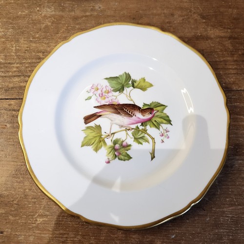 Vintage spode fine - spode, bone