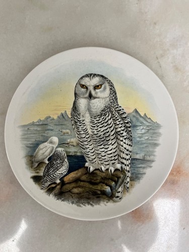 Vintage poole pottery john - pottery,