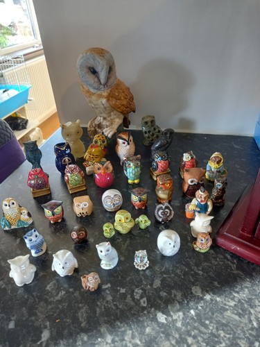 Ceramic owls display - ceramic,