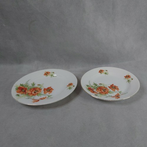 Victoria austrian poppy - 2,